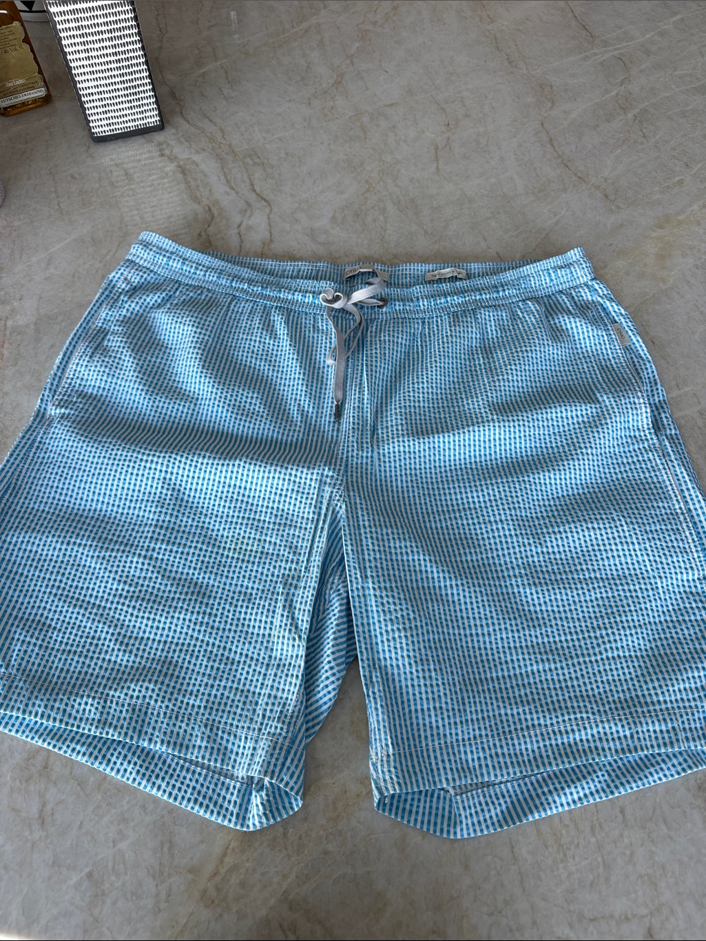 Onia Light Blue Check Swim Trunks
